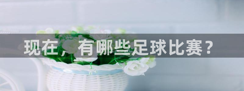 意昂集团总部图片